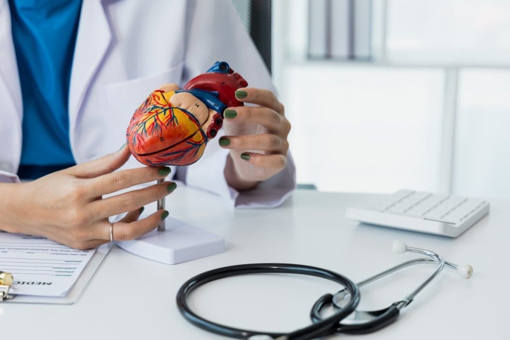 Kako radi srce i što ga čini jednim od najjačih organa Kako radi srce i što ga čini jednim od najjačih organa