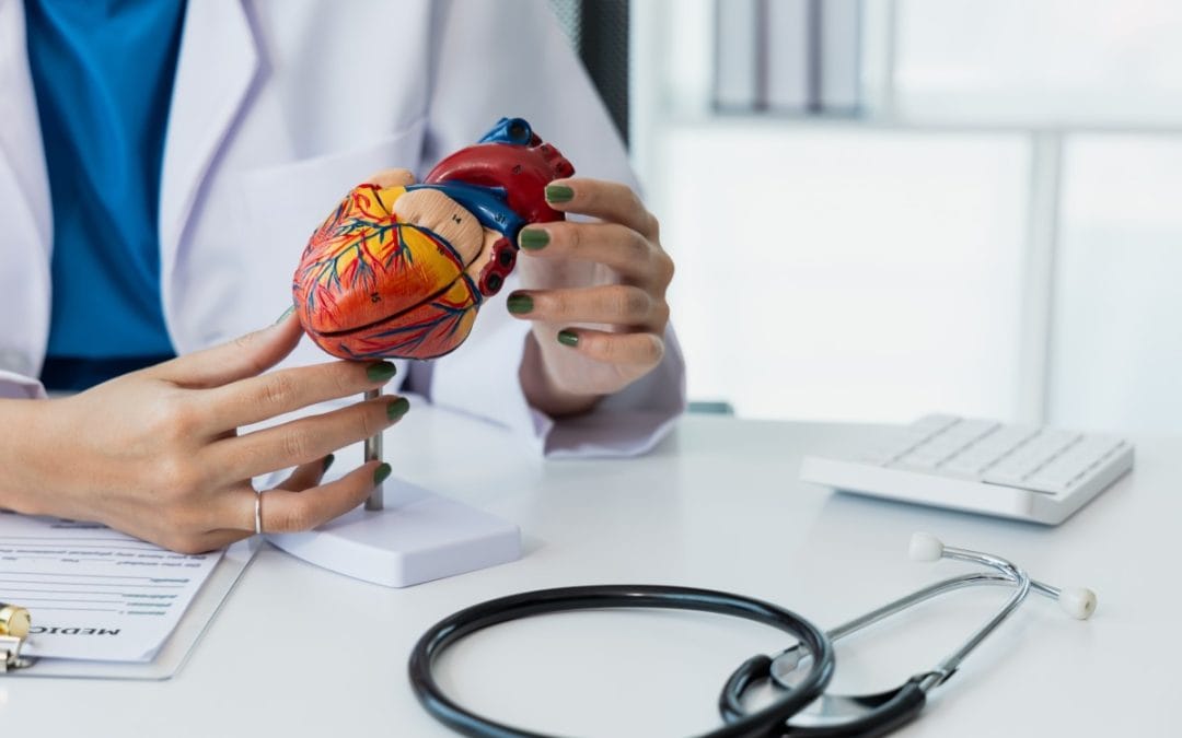 Kako radi srce i što ga čini jednim od najjačih organa